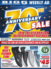 Big 5 ad catalog