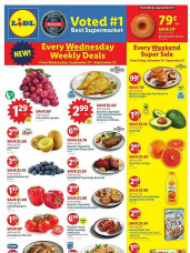 Lidl ad catalog