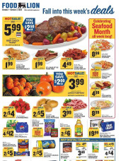 Food Lion ad catalog