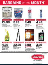 True Value offer from 10/01/2025 October Bargains of the Month ad catalog