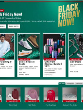 Dick's Sporting Goods ad catalog