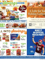  Latest Homeland offer from 11/01/2025 Bring Savings Home Shopper's Guide (2025-11-01 - 2025-11-30) ad catalog
