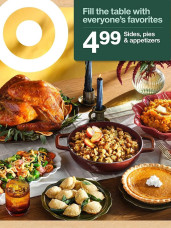  Latest Target  (2025-11-16 - 2025-11-22) ad catalog