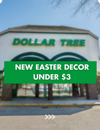  Latest Dollar Tree ad catalog