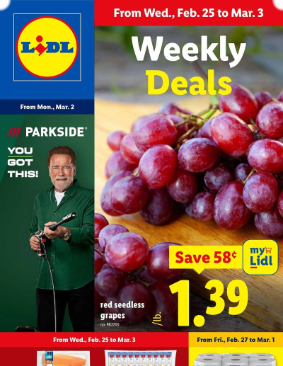Lidl ad catalog