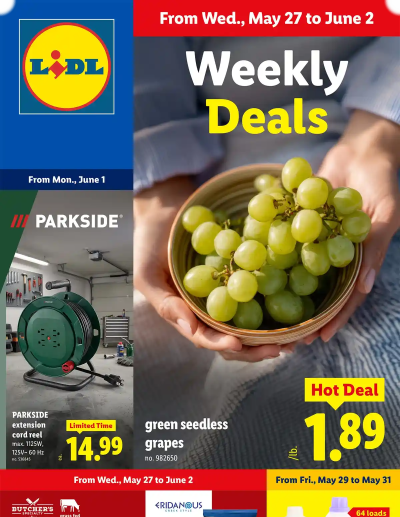 Lidl ad catalog
