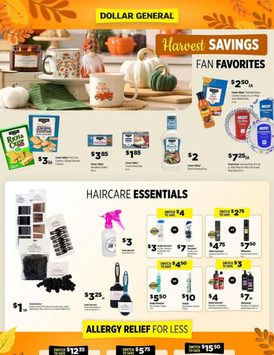 Dollar General ad catalog