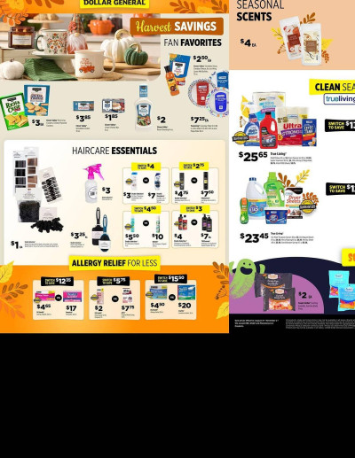 Dollar General ad catalog