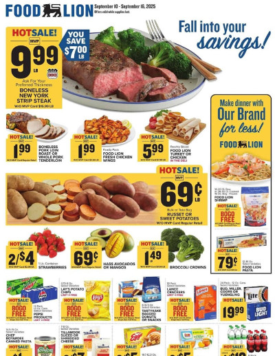 Food Lion ad catalog