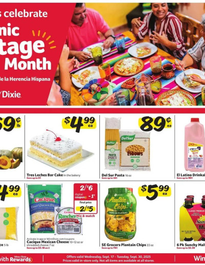 Winn Dixie ad catalog