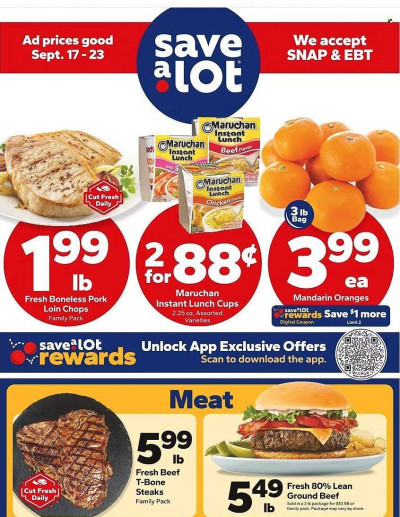 Save a Lot ad catalog