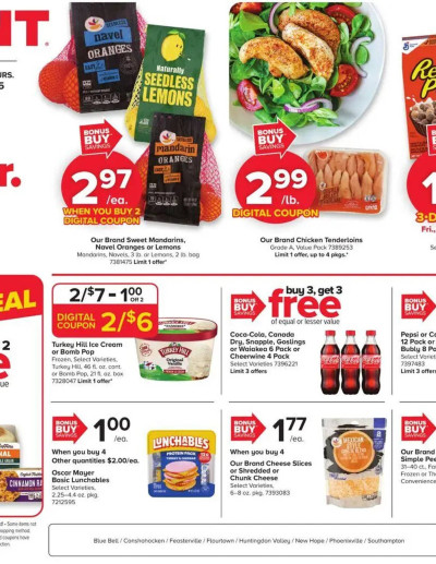 GIANT ad catalog