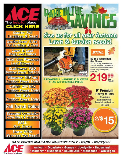 Ace Hardware flyer ad catalog