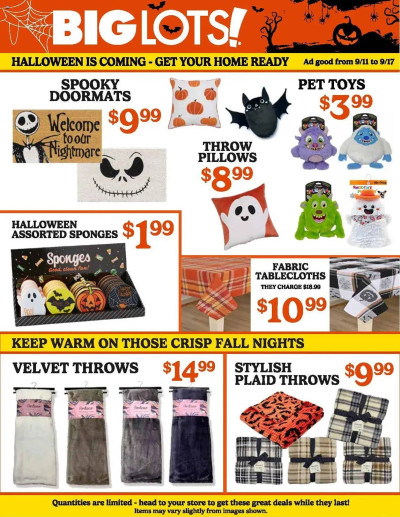 Big Lots ad catalog