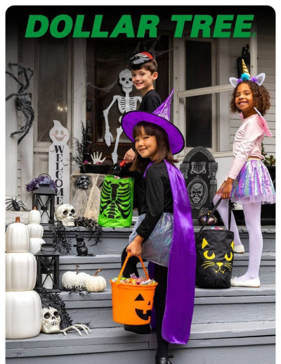 Dollar Tree ad catalog