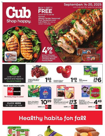 Cub Foods ad catalog