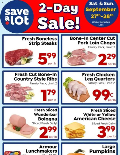 Save a Lot ad catalog