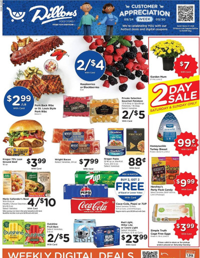 Dillons ad catalog
