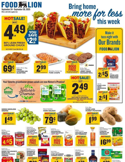 Food Lion ad catalog
