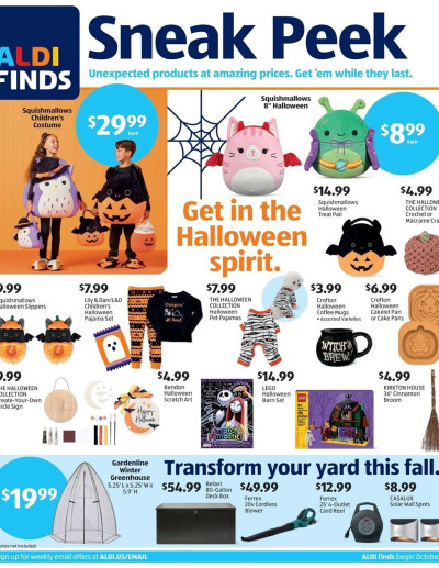 Aldi ad catalog