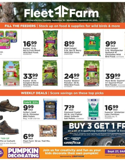 Mills Fleet Farm ad catalog