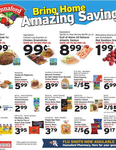 Hannaford flyer ad catalog