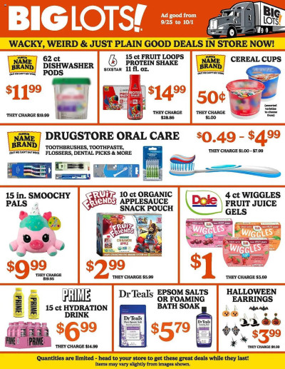 Big Lots ad catalog