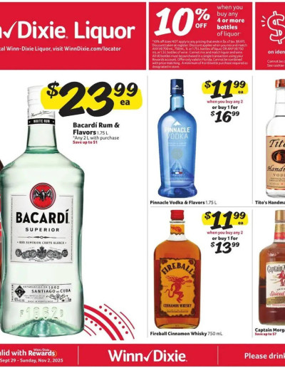 Winn Dixie ad catalog