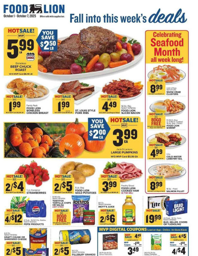 Food Lion ad catalog
