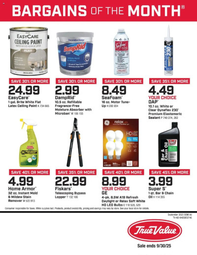 True Value offer from 10/01/2025 October Bargains of the Month ad catalog
