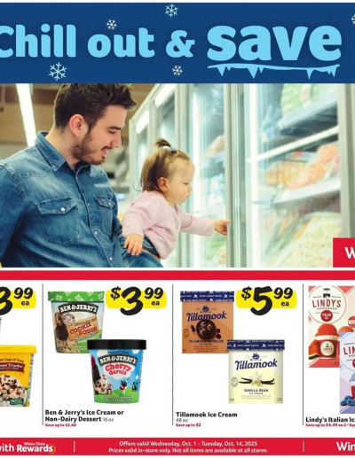 Winn Dixie ad catalog