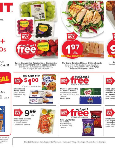 GIANT ad catalog
