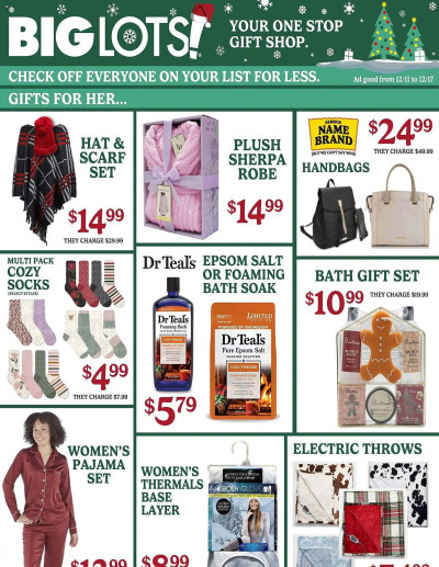 Big Lots ad catalog