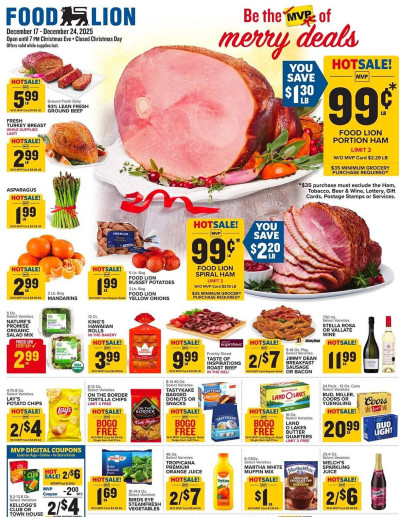 Food Lion ad catalog