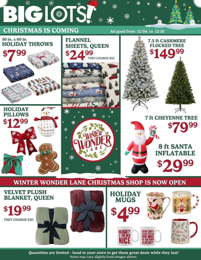 Big Lots ad catalog
