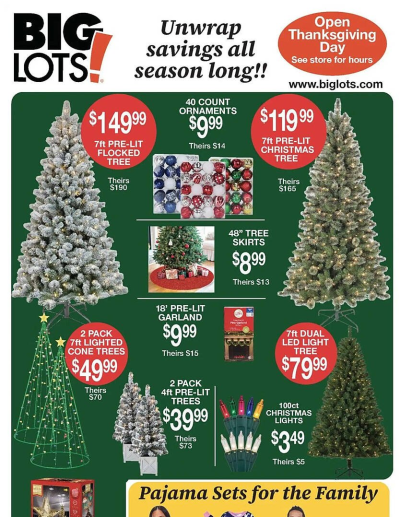Big Lots ad catalog