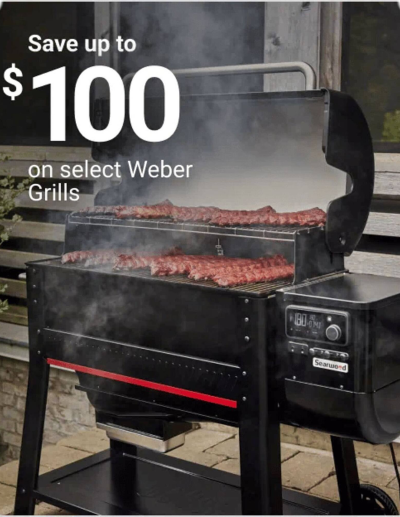 Ace Hardware flyer ad catalog