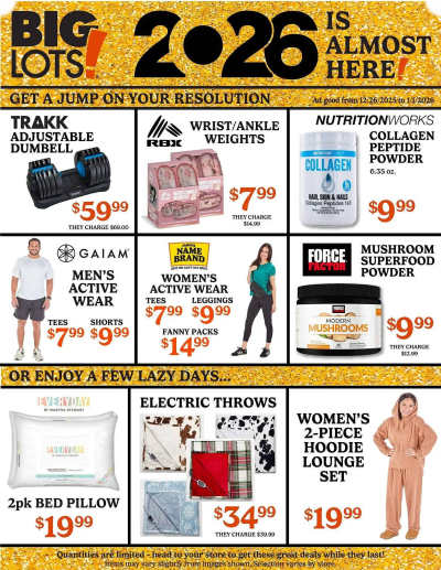 Big Lots ad catalog