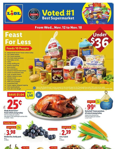 Lidl ad catalog