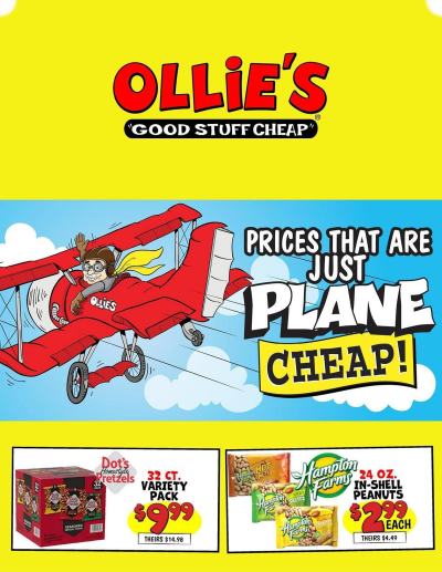 Ollie's ad catalog