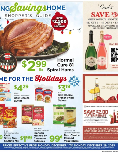 Homeland Bring Savings Home Shopper's Guide ad catalog