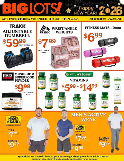 Big Lots ad catalog
