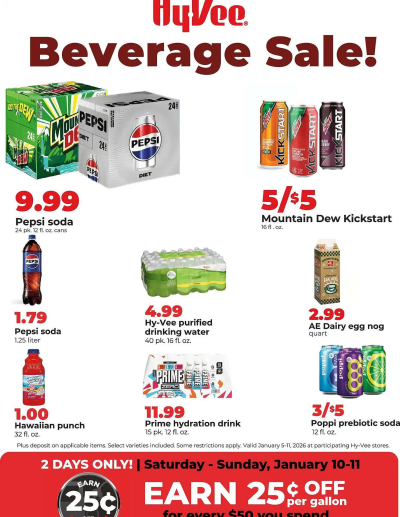 Hy-Vee ad catalog