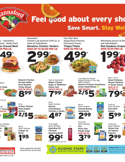 Hannaford ad catalog