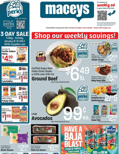 Maceys ad catalog