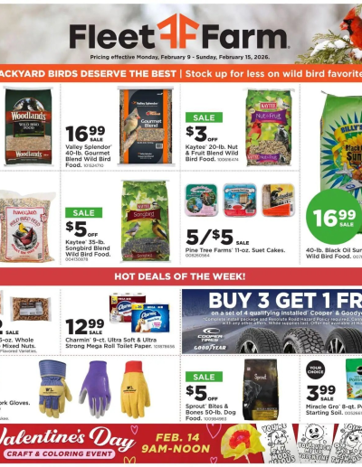 Mills Fleet Farm ad catalog