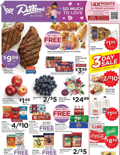 Dillons ad catalog