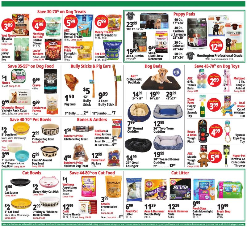 OCEAN STATE JOB LOT weekly ad Aug 13 – Aug 20, 2026 – page 11