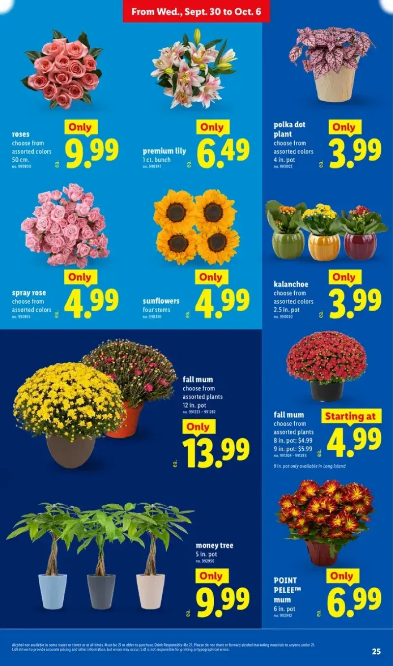 Fresh floral selection featuring roses, kalanchoe pots, money trees, lilies, sunflowers, and fall mum plants.