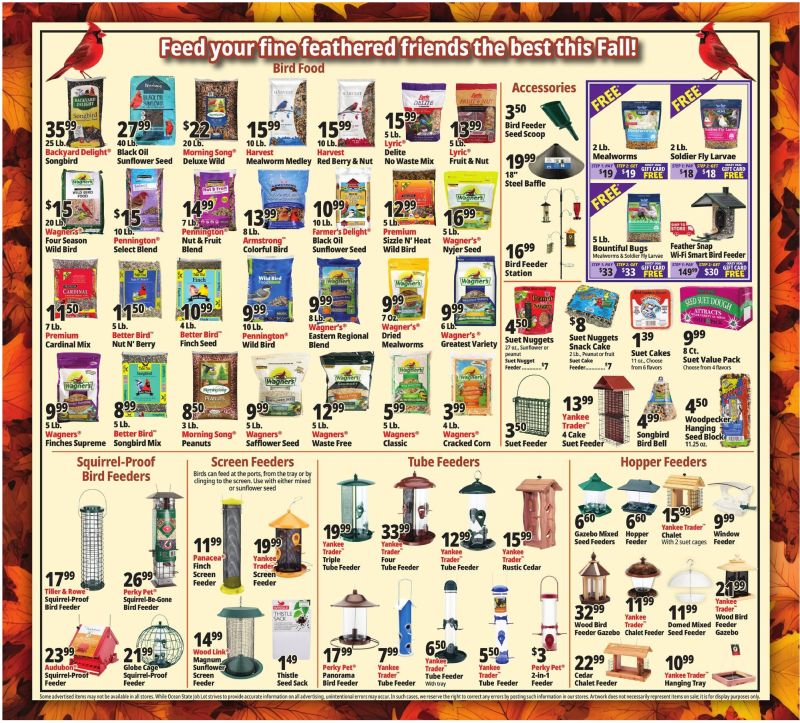 OCEAN STATE JOB LOT weekly ad Oct 1 – Oct 8, 2026 – page 15